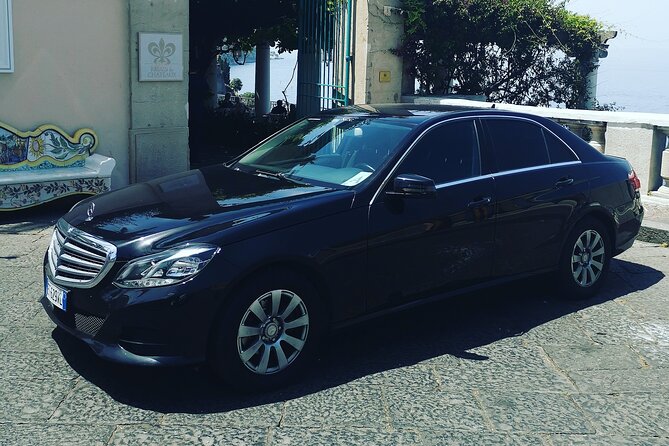 Visit to the Archaeological Park of Herculaneum - Pricing and Inclusions