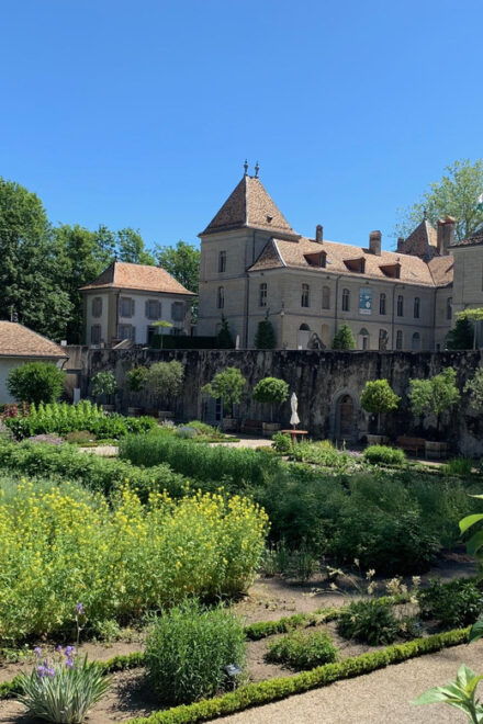 Visit to the Castle of Prangins and the City of Nyon - Highlights of the Experience
