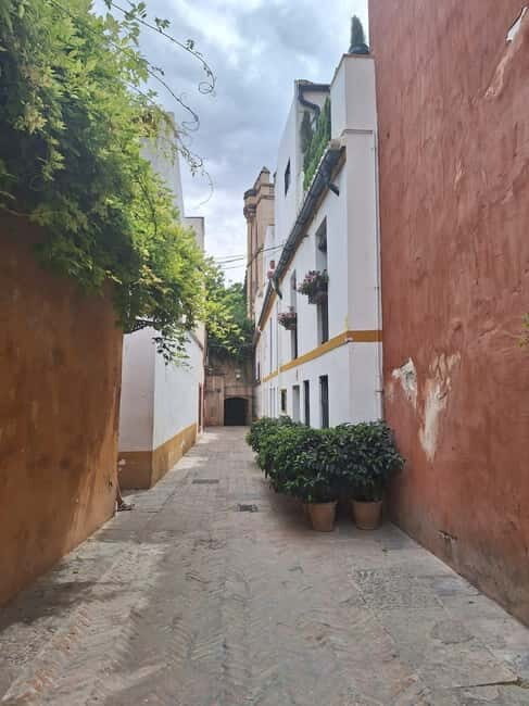 Visit to the cathedral, the Santa Cruz district and Plaza España - Discovering Seville: A Deep Dive into the Tour