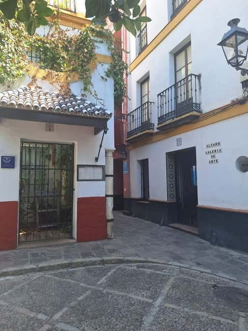 Visit to the cathedral, the Santa Cruz district and Plaza España - In The Sum Up