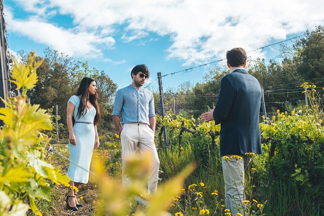 Visit to the Cellar With Wine & Food Tasting Over the Val Dorcia - Traditional Tuscan Cuisine