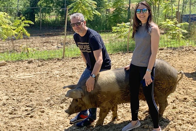 Visit to the Cinta Senese Farm in Montepulciano - Common Questions
