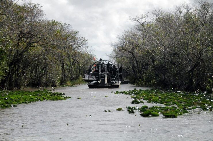 Visit to the Everglades From Miami Airboat - Travel to Everglades Recreation Park