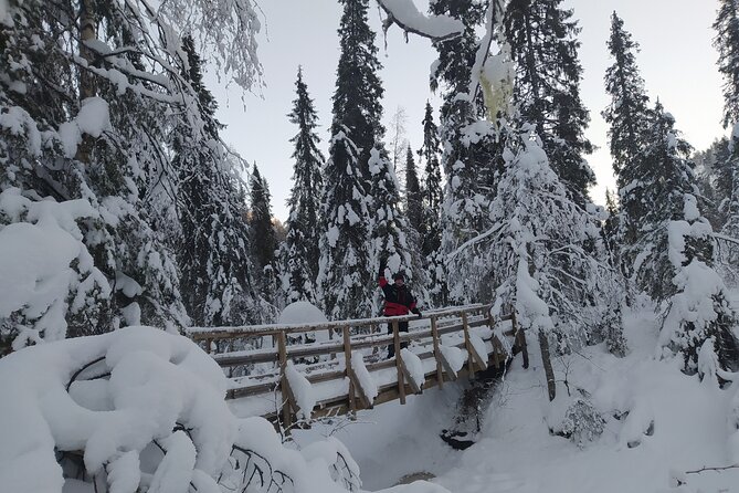 Visit to the Frozen Waterfalls of Korouoma National Park - Physical Fitness Requirements