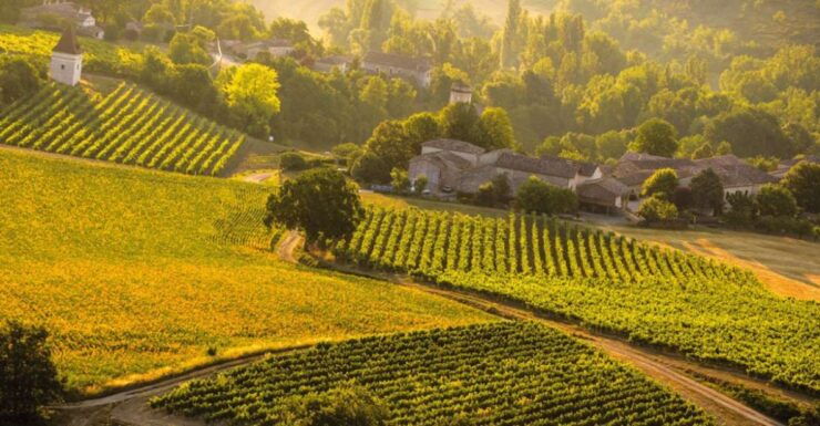 Visit to the Gaillac Vineyards (81) - Inclusions