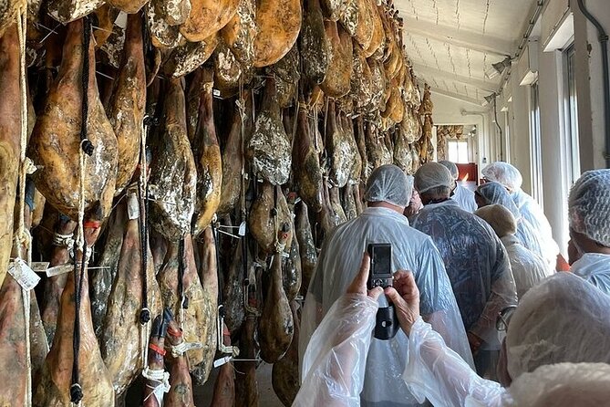 Visit to the Ham Factory in Salamanca. Tasting and Masterclass - Factory Tour and Ham Tasting