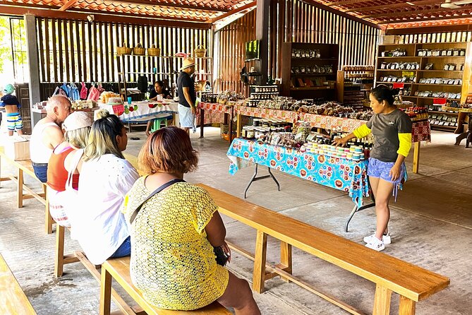 Visit to the Magical Waterfalls of Copalitilla - Unveiling the Secrets of Copalitilla