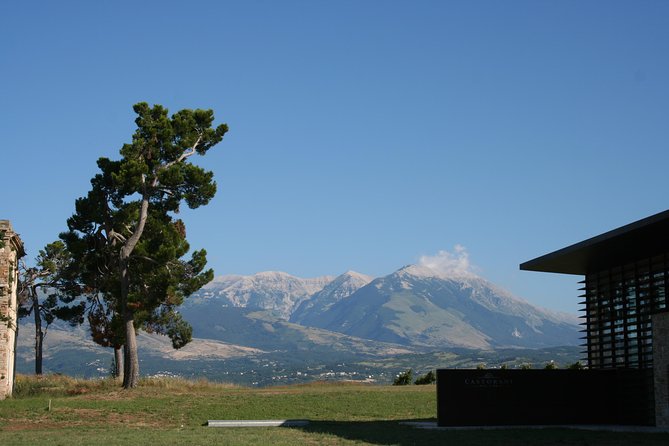  Visit to the Podere Castorani Winery and Wine and Food Tasting - Inclusions in the Tour Package