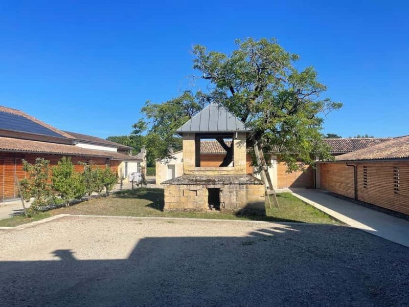 Visit to the property and wine/cheese pairing workshop - Final Thoughts