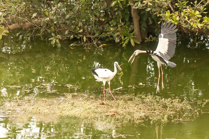 Visit to Vedanthangal Bird Sanctuary From Chennai - Frequently Asked Questions