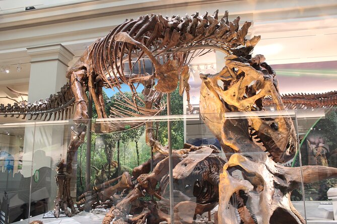 Visit to Washington From New York in One Day - Tips for a Smooth Trip