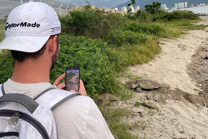 Visit Tortuguero Camp & Turtle Release - Positive Reviews