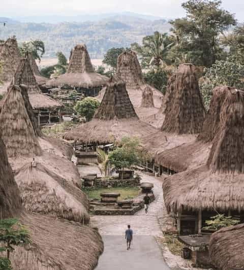 Visit Traditional Villages, Beaches and Hills in Sumba - Top Traditional Villages