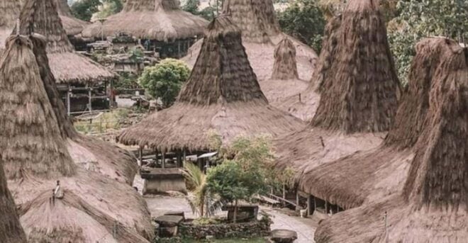 Visit Traditional Villages, Beaches and Hills in Sumba - Adventure at Waterfalls