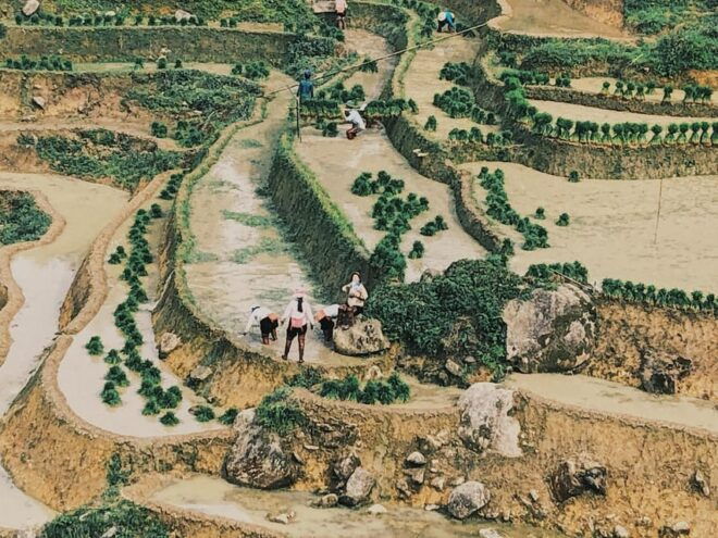 Visit Villages, Terrace Rice Field With Easy Riders Half Day - Customer Reviews