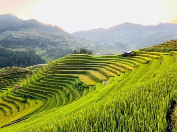 Visit Villages, Terrace Rice Field With Easy Riders Half Day - Booking Information