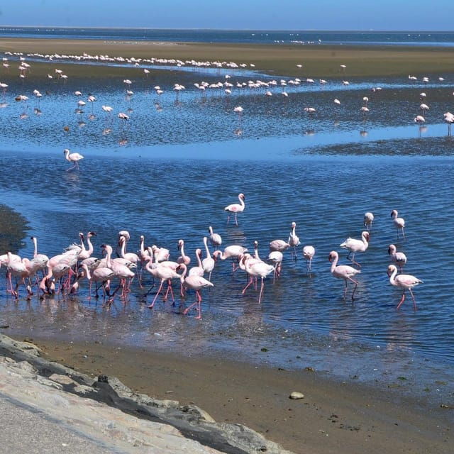 VISIT WALVIS BAY AND SWAKOPMUND: Transport and tour - Why This Tour Works for Different Travelers