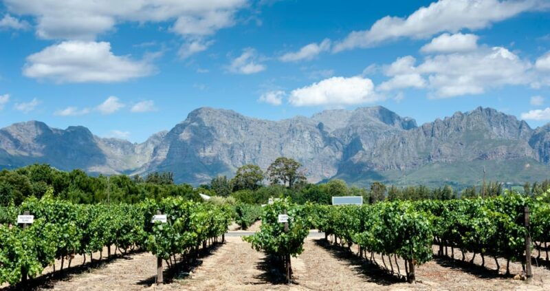 Visit Winery in Guadalest - Good To Know