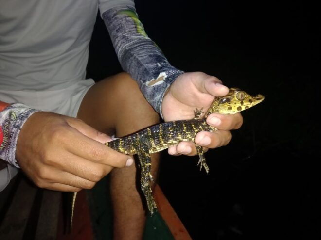 Visit Yagua Indigenous Community - Experience Highlights and Itinerary