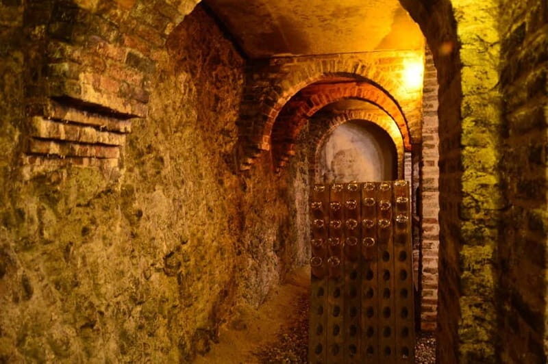 Visita guidata e Degustazione vini Monforte d'Alba - The Itinerary Breakdown