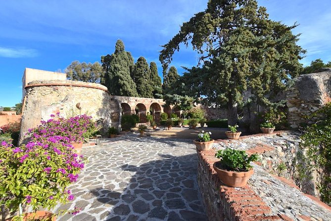 Visita Privada a Pie De La Guerra Civil Española En Málaga. - Booking and Pricing Details