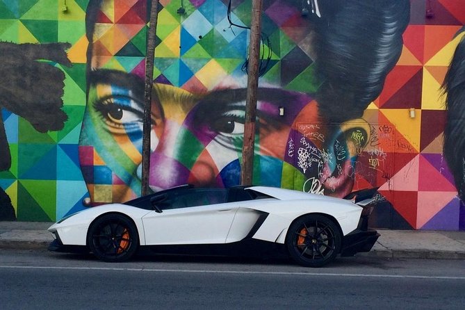 Visite Guidée De L'art De Rue Français À Wynwood, Miami - Additional Information