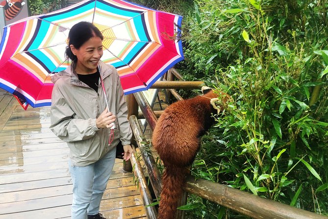 Visiting Chengdu Panda Base in a Half Day - Planning Your Visit