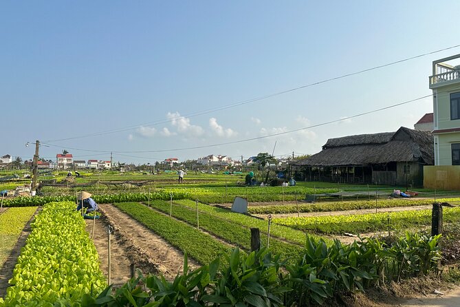 Visiting Hoi an From Danang by Car - Must-See Attractions
