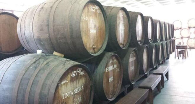 Visiting Local Vineyard With Wine Tasting & Lunch Included - Price and Duration