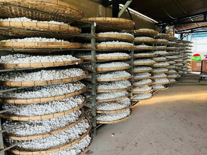 Visiting Silk Factory & Coffee - Tour Inclusions and Exclusions