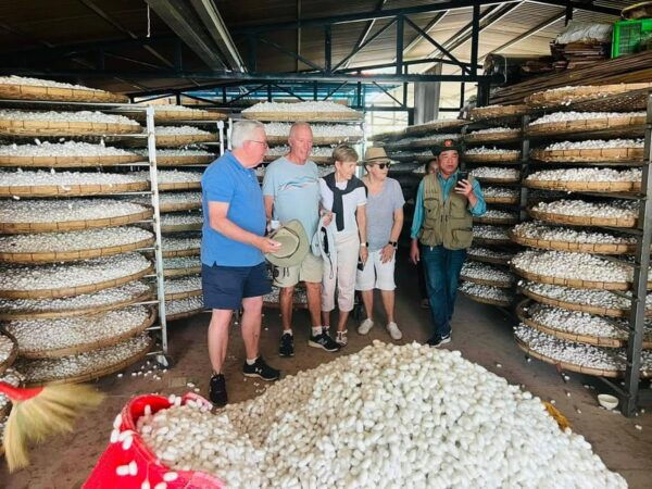 Visiting Silk Factory & Coffee - Important Visitor Information