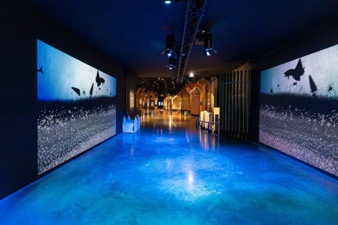 Visitor Trail of the Cité in Beaune - Key Highlights to Explore