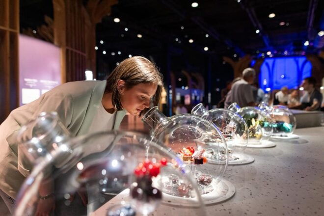 Visitor Trail of the Cité in Beaune - Workshops and Tastings