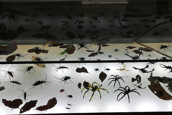 Visitors to Jeju Glass Museum and Experience - Common Questions