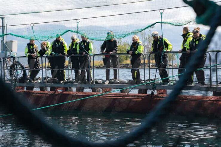 Vist a Fish Farm in Hardanger, Guided Tour, With Rib-Boat. - Good To Know