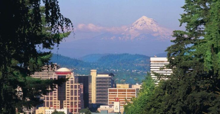 Vistas, Falls & Gardens Deluxe Combination Tour - PDX05 - Tour Highlights