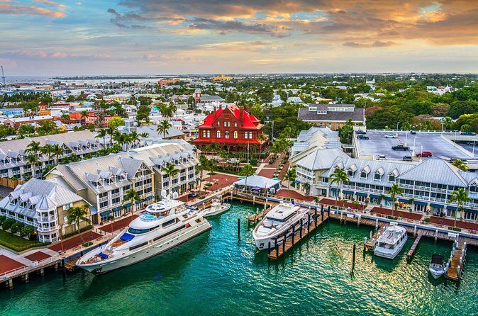 Vitamin Sea Dolphin Safari: Private Key West Charter - Who Is This Tour Best For?