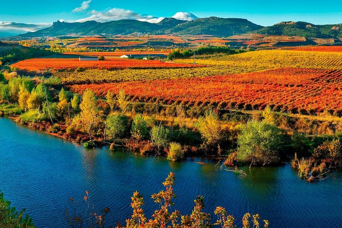 Vitoria Guided Tour With Rioja Winery Visit From Bilbao - Mixed Feedback