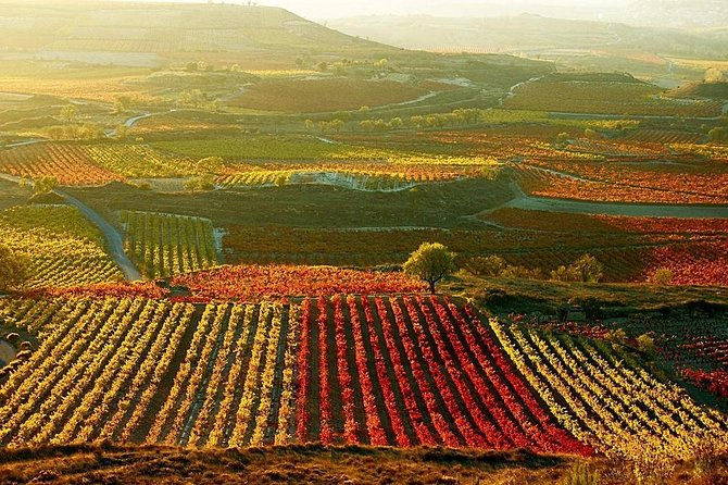 Vitoria Guided Tour With Rioja Winery Visit From Bilbao - Wine Cellars and History