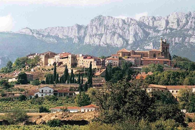 Vitoria Guided Tour With Rioja Winery Visit From Bilbao - Common Questions