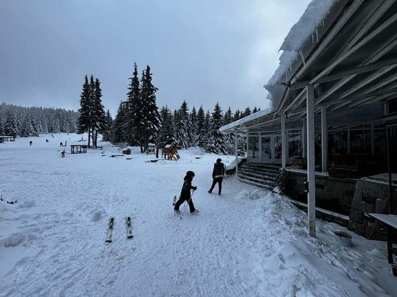 Vitosha: Ski Day Trip by Mountain Stars Ski School - Vitosha: Ski Day Trip by Mountain Stars Ski School