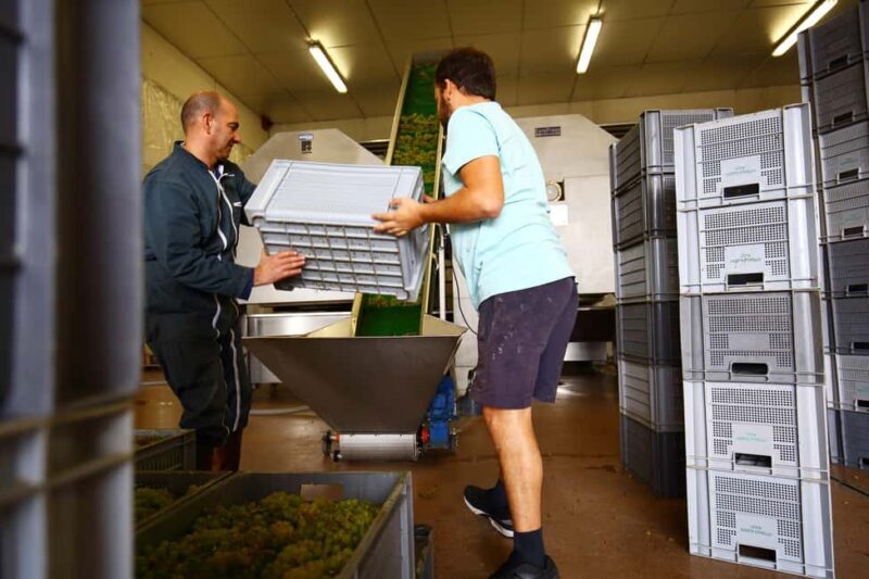 Vitteaut-Alberti: complete tasting of our Crémants de Bourgogne - Cost and Value  