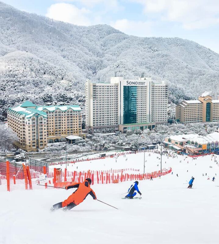 Vivaldi Park - Private Ski Lesson - An In-Depth Look at the Experience