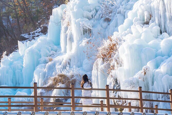 Vivaldi Park Winter Ski with Eobi Ice Valley Day Tour from Seoul - Final Thoughts: Who Is This Tour Perfect For?