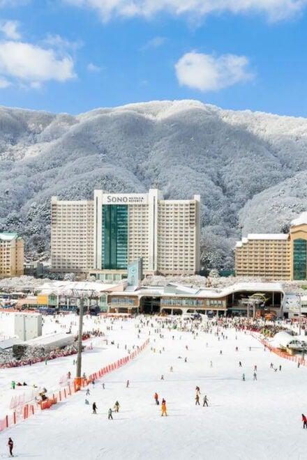 Vivaldi Park_ Ski & Lift Pass (7 Hrs) With Seoul Shuttle - Transportation Information