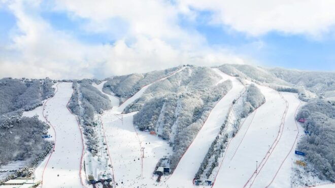 Vivaldi Park_ Ski & Lift Pass (7 Hrs) With Seoul Shuttle - Activities and Experiences
