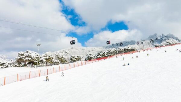 Vivaldi Park_ Ski & Lift Pass (7 Hrs) With Seoul Shuttle - Important Requirements