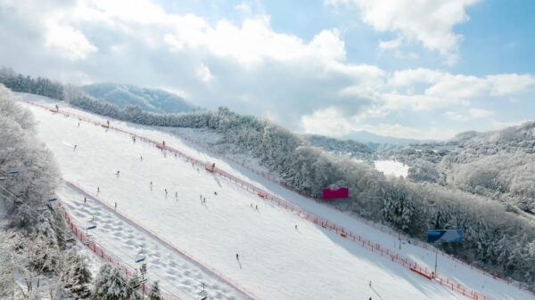 Vivaldi Park_ Ski & Lift Pass (7 Hrs) With Seoul Shuttle - Questions You May Have