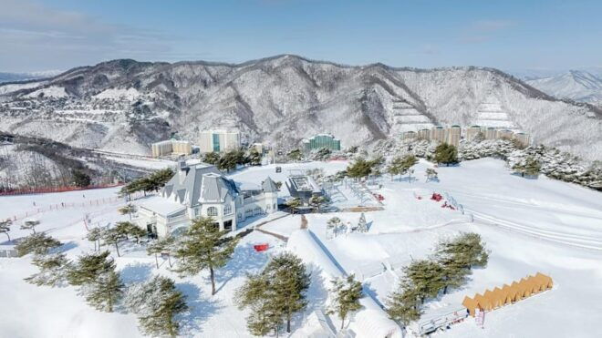 Vivaldi Park_ Snowyland Snow Fun With Seoul Shuttle - Customer Support Services