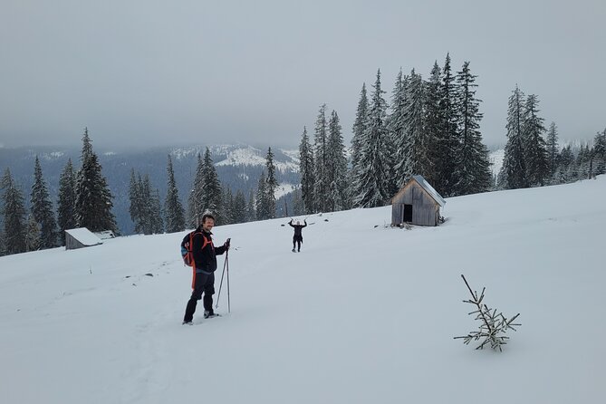 Vladeasa Peak and Brides Waterfall Day Hike - Physical Requirements